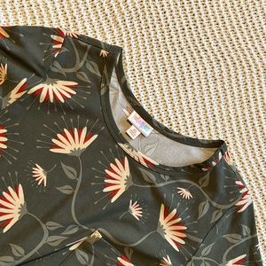 LuLaRoe Carly Swing Dress